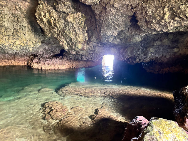 ����ɂ͏ߓ��������鏊��_Bal field