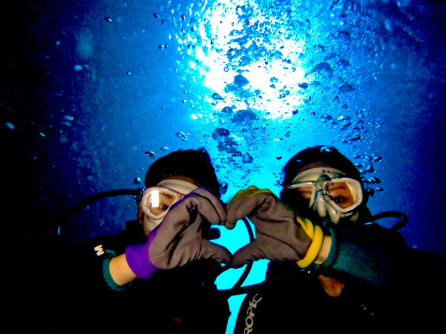 �����̐��o�b�N�Ƀn�[�g�ɒ���_Bal field