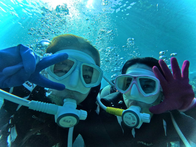 ���߂Ăł��A�y���߂�悤�A�킩��₷��������_Bal field