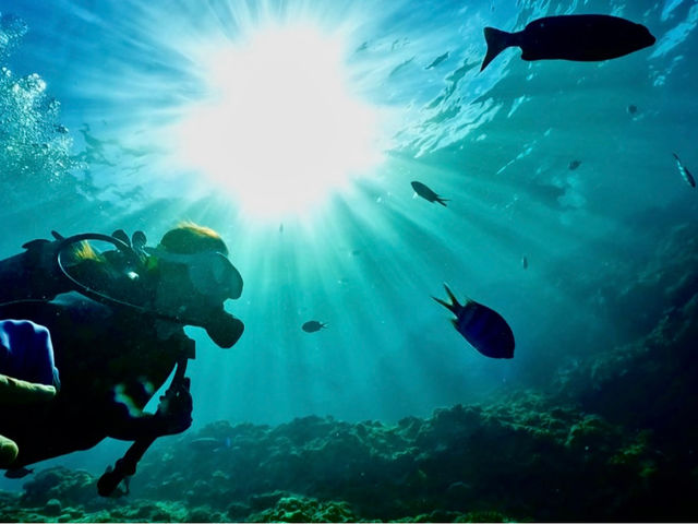 ����l�l���劽�}_Bal field