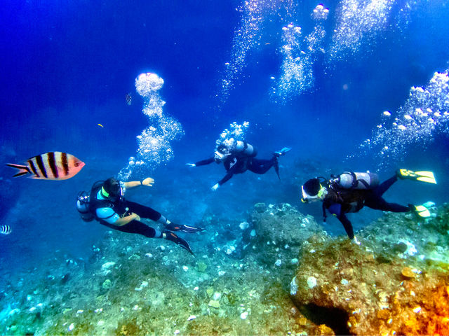 �㔼�͂��ꂼ��̃y�[�X�ŉj���ł݂悤_Bal field