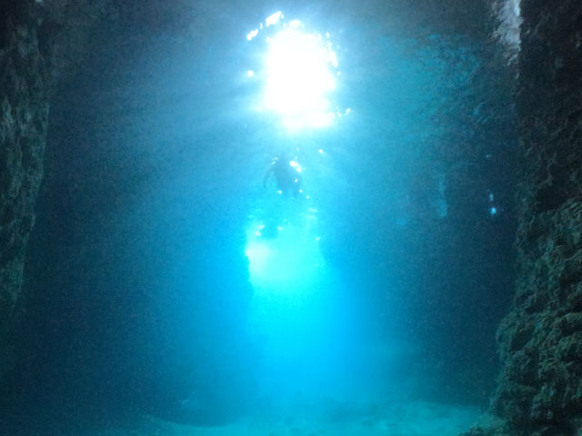 �ŏ��̓h�L�h�L
�����Ƀ��N���N��_Bal field