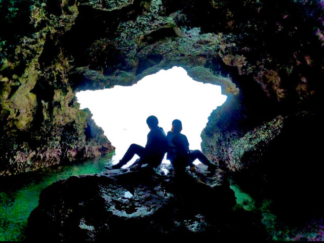 �f���X�|�b�g��
�ō��̎v���o���`��_Bal field