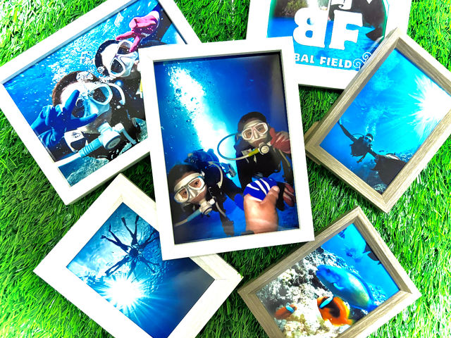 �o���t�B�[���h����_Bal field