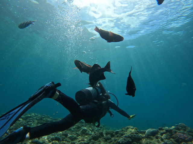 ���p���G�ɂȂ�܂�_Bal field