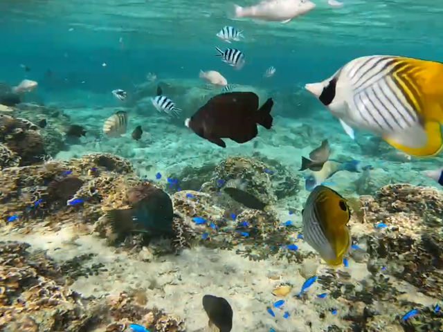 �܂�Ő����ق̒��ł�_Bal field