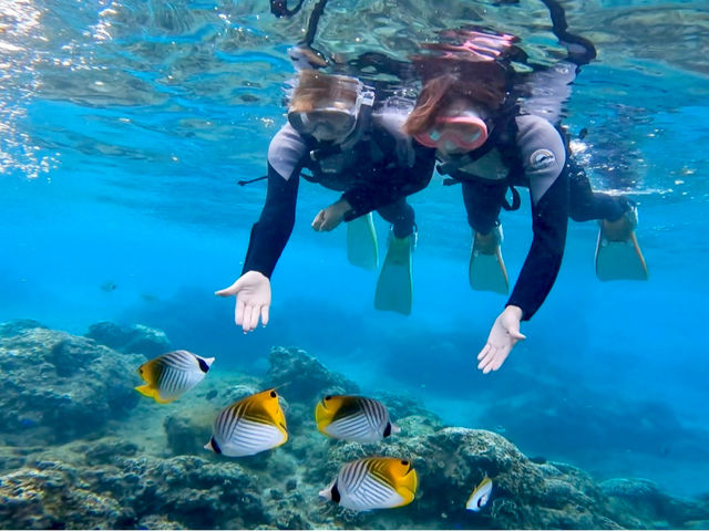 �M�ы��Ɗԋ߂ŐG�ꍇ�����Ƃ��o����
�����ق̒��ɂ���l�ł�_Bal field