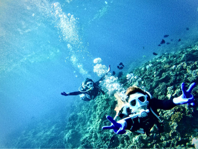 �̓��A�_�C�r���O
�㔼�͎���1�l�ŉj���邩��_Bal field