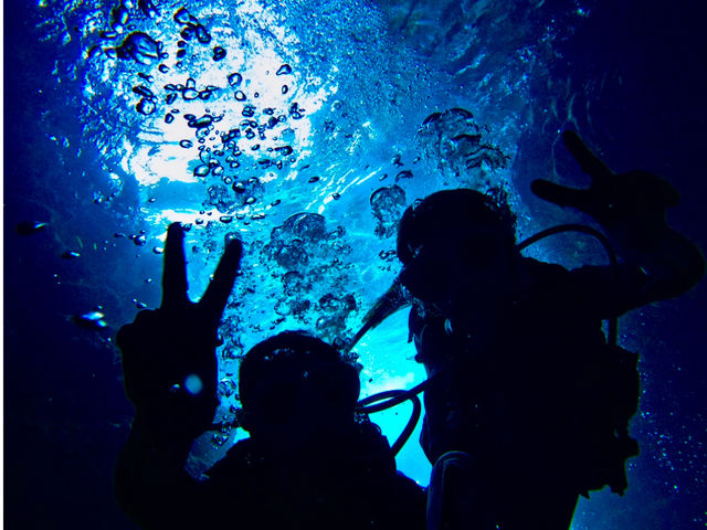 �̓��A�V���G�b�g�ʐ^�̓A�C�R���ɂ����Ă���
�p���������l�̓V���G�b�g���߂̎B�e���\_Bal field