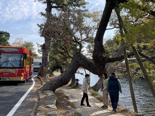 �A�[�o�������g���x��