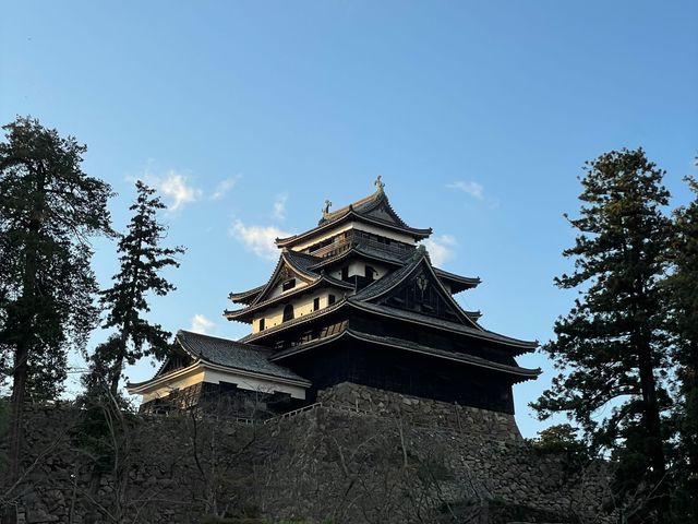 �A�[�o�������g���x��