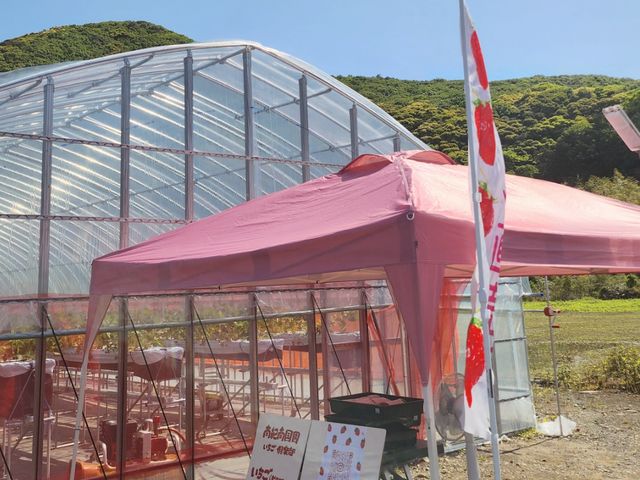 �n�E�X�O�ł̒���������܂�_��I�썑�� ��������y��