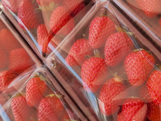 �����Ȃ�ł͂́A�ł������������������ɍw���ł��܂��I_��I�썑�� ��������y��