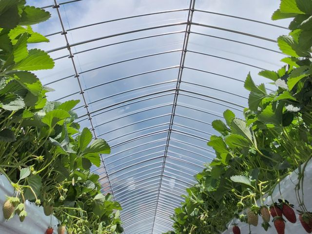 �œ�[�ł��҂����Ă��܂�_��I�썑�� ��������y��