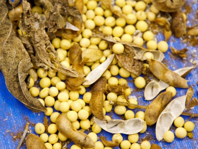 �哤�͔|����s���Ă���̂������ł��B_�ԂƎ�