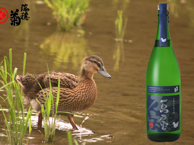 �j�쒬�̍����_�@�ō��ꂽ���Ă��g�������{������܂��B_����e�𑢊������