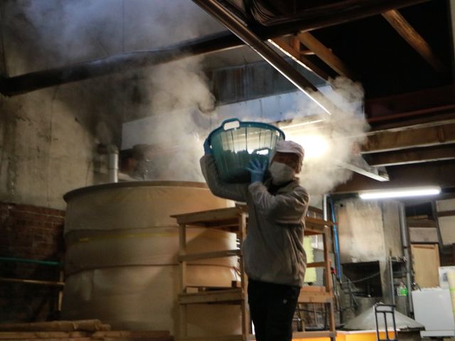 ����e�𑢊������