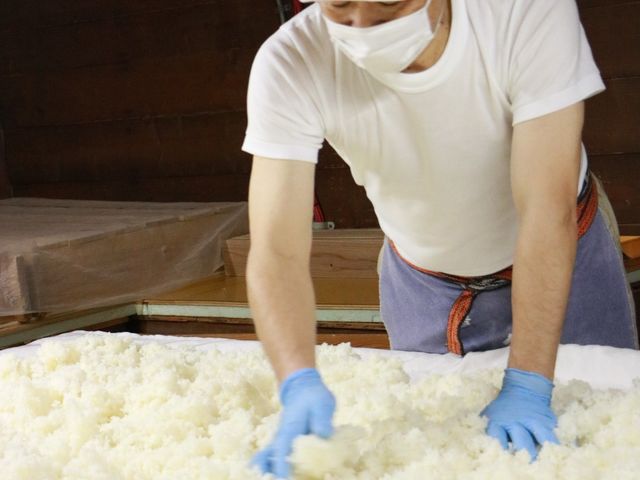 ����e�𑢊������