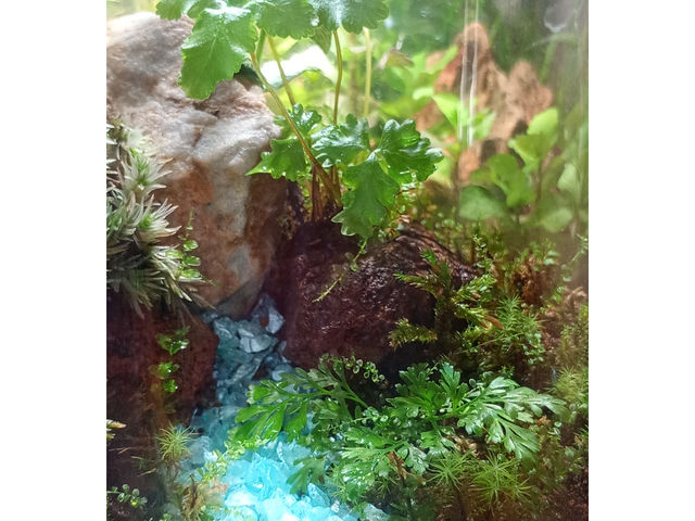 ���ʂ�Z�����ۂ̓L���L���Ŗ����̖����ƂȂ�܂��B�ꏊ����Ƃ��S�Ă����g���[�g�ȑ̌��̃��[�N�V���b�v�ł��B_�ۖG��