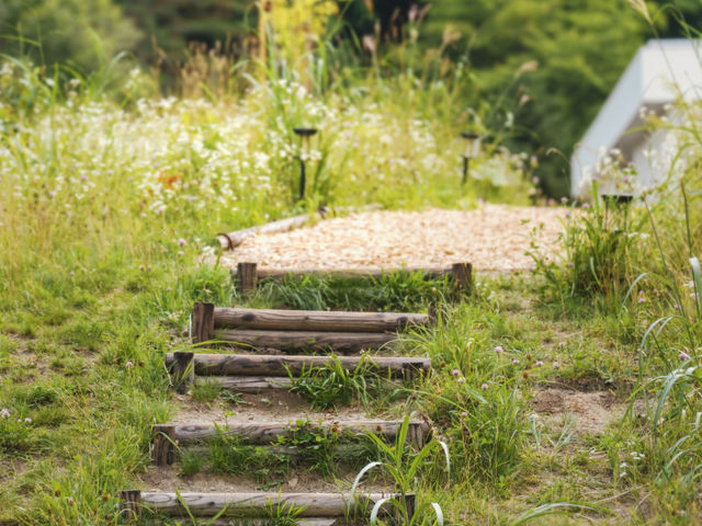 �s�S����30���Ƃ͎v���Ȃ����R���L����|�p�̐X�G���A�B�[�ċz���Ȃ���̂��U�����ō��ł���_�|�X���[�T��