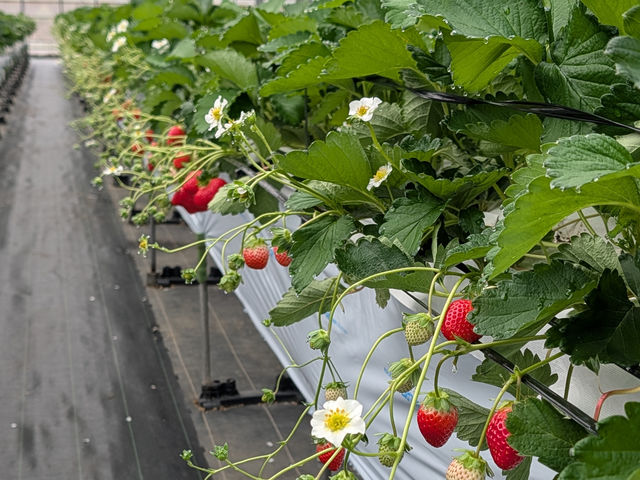 ������������