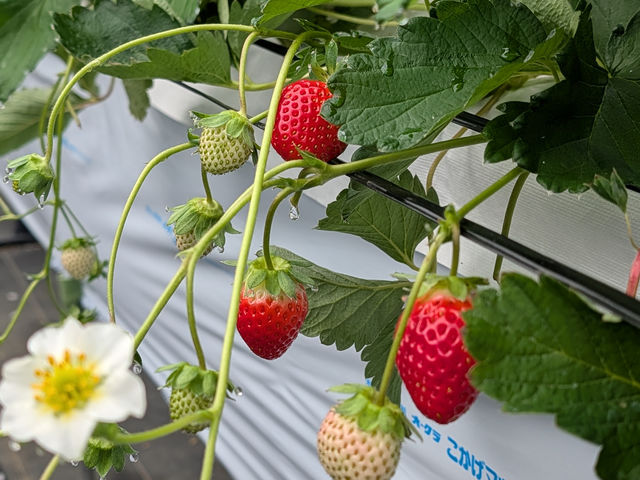 ������������