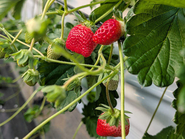 ������������