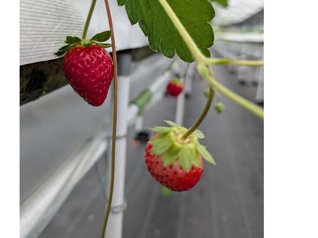 ������������