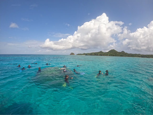 �R�o���g�u���[�̐Ί_���̊C�ł̃V���m�[�P����_���N�[�A�}�����N���u