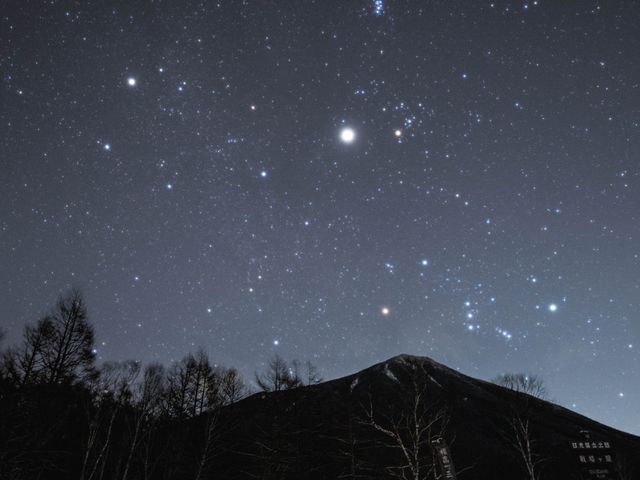 �O�{������