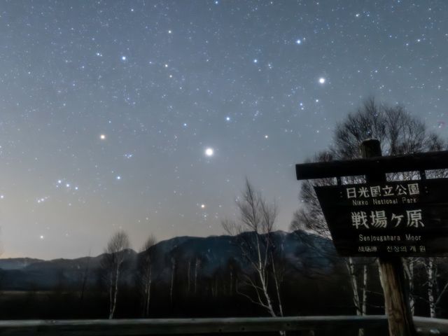 �O�{������