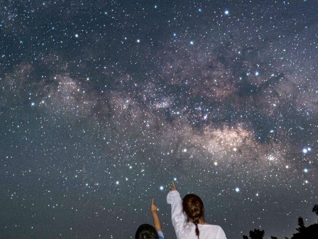 ���쌧���{�s�A�z�K�s����t�H�g�c�A�[���̎ʐ^1