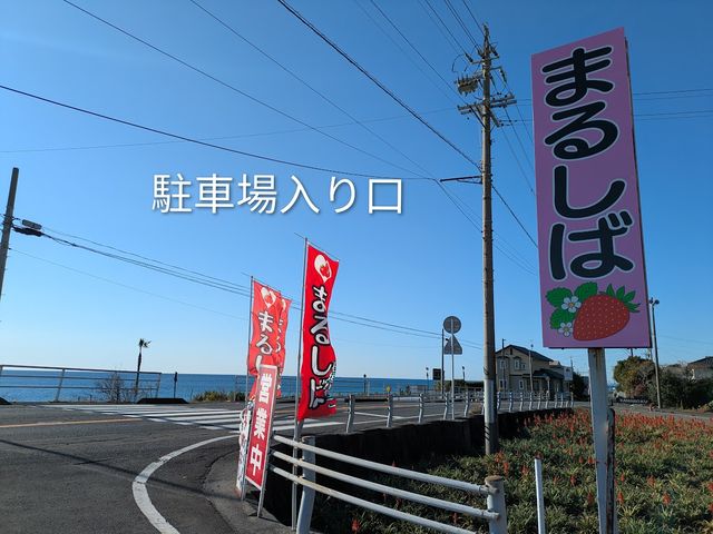 ���̊Ŕ��ڈ�_�܂邵�Δ_��