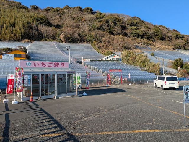 �������ł������X�����_�܂邵�Δ_��