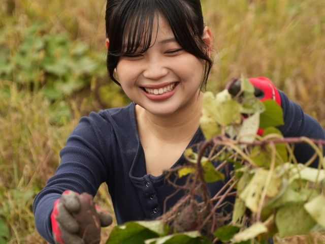 �H�̃T�c�}�C�����n�̌�_ROOT2 ORGANIC FARM