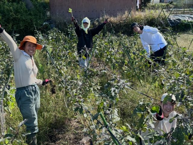 �Ė�؃i�X�̎��n�̌�_ROOT2 ORGANIC FARM