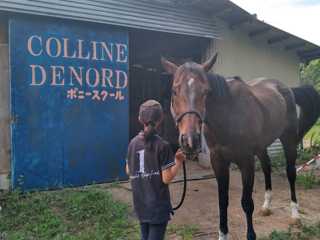 ��n�N���u �R�[�g�h�m�[���̎ʐ^1