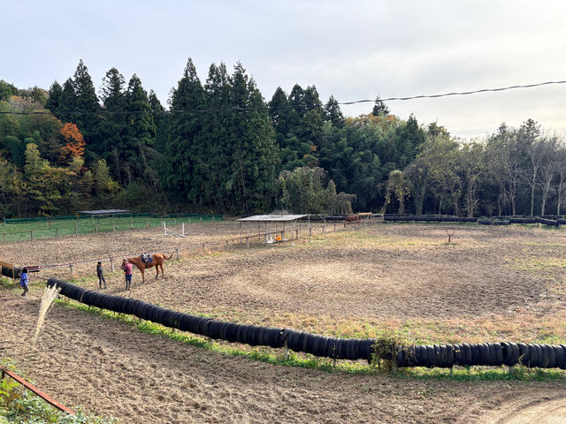 �L���Ȏ��R�Ɉ͂܂ꂽ��n�G���A�ł̏�n��A�אڂ��鑐���ł̂�т�߂����n�̗l�q�𒭂߂Ȃ���A���R�ɂ��߂������������B_��n�N���u �R�[�g�h�m�[��