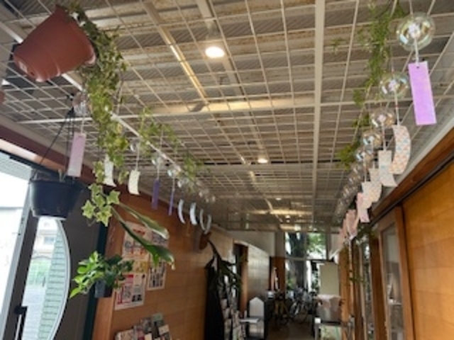 �Ă͕��邪����Y���܂��B�l�G�܁X�̂����ĂȂ������Ă��܂��B_��Ԃ��ό��ē���