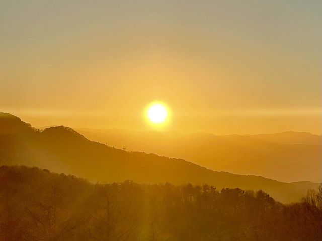 �y���V��z�e��&���]�[�g