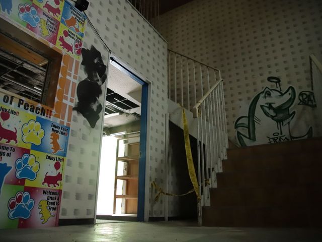 �T�o�C�o���Q�[���t�B�[���h���B�e�X�^�W�I �s�[�`�ȋC���̎ʐ^1