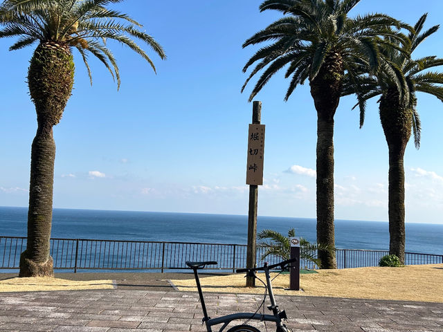 �������S'ISM