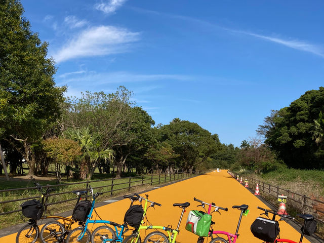 �������S'ISM