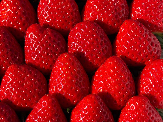 ���􂢂���_��ʎВc�@�l �O�ؒ��ό�����