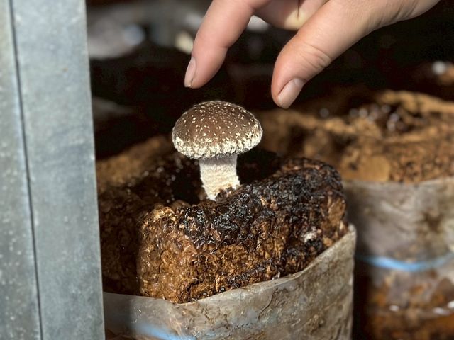 �ǂȂ��ł��ȒP�Ɏ��n���邱�Ƃ��ł��܂�_�������̂������h