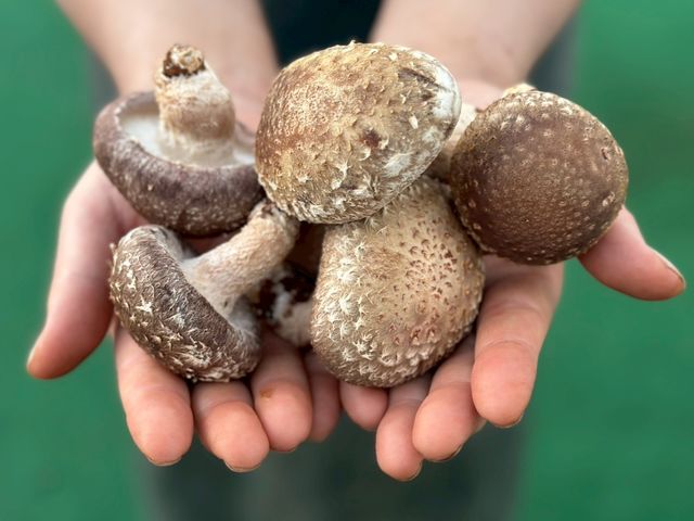 �����̂������������n�ł��܂�_�������̂������h