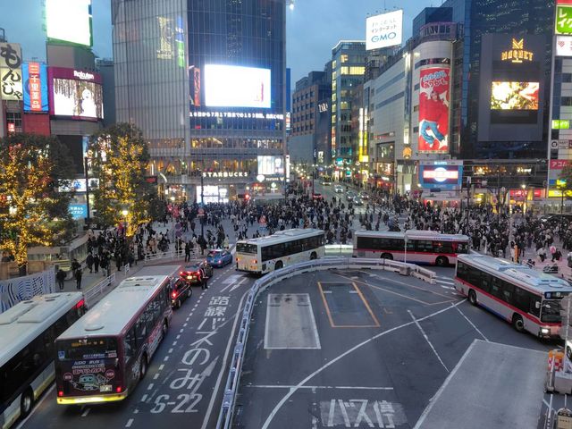 �^���[�Y���̎ʐ^1