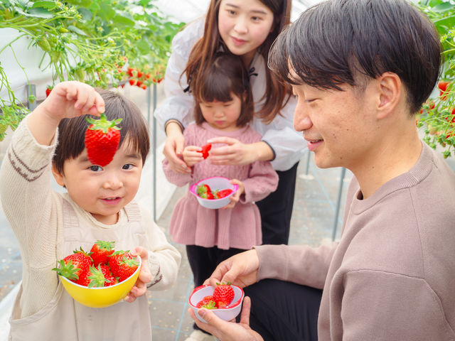 �؂€�ό��_���̎ʐ^1