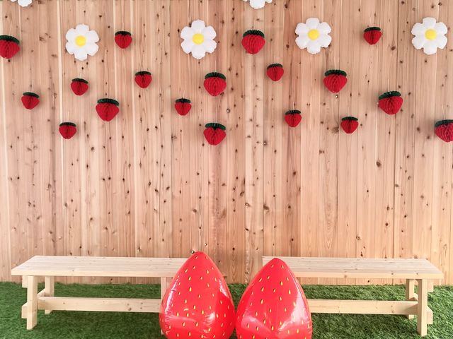 �t�H�g�u�[�X_HANAYAGI strawberry farm