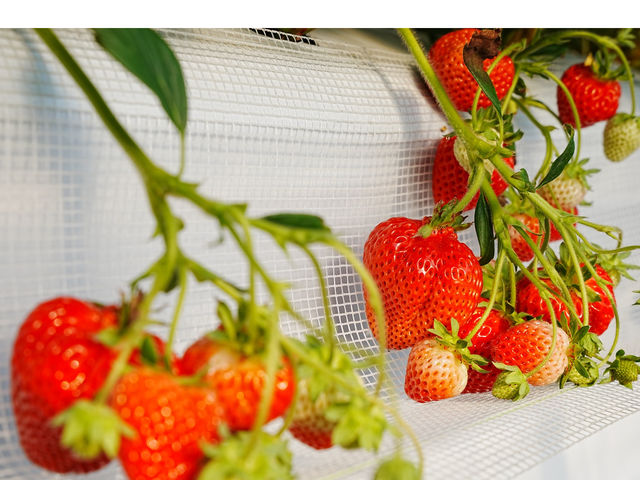 �ۖk�������_���̎ʐ^1